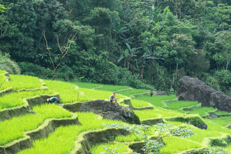 pu luong Nature Reserve
